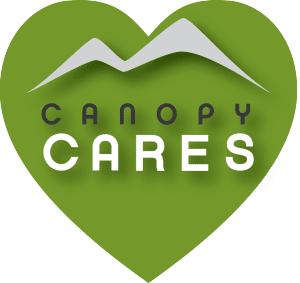 canopy care heart